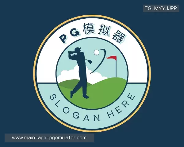 了解pg模拟器